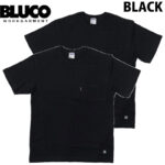 BLUCO ブルコ 2-PACK POCKET TEE 2パック ポケット Tシャツ 半袖 2枚セット 153-22-014 リブラセレクトストア libra select store libra-ss LBR 浜松