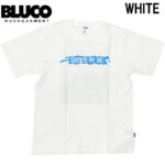 BLUCO ブルコ ドライコットン Tシャツ -Artwork by JACK-O’ ART WORKS- 161-22-020 リブラセレクトストア libra select store libra-ss LBR 浜松